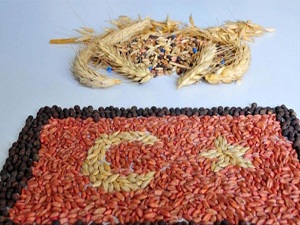 Tohumculukta dünyada ilk 10'dayız