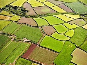 Türkiye'nin Tarımsal ve Hayvansal Envanteri Çıkarılıyor