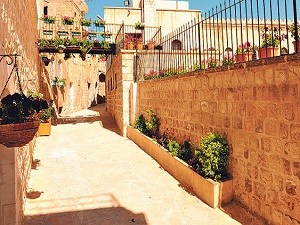 Mardin sokakları çiçek açtı