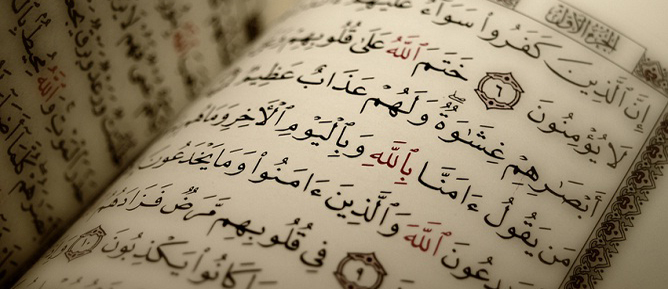 Kim şükrederse, ancak kendisi için şükretmiş olur