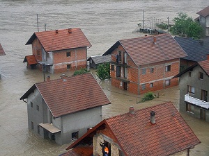 Bosna'da selden çatılara çıkıp dağlara kaçarak kurtuldular