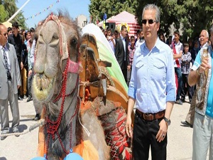 Deveyi 50 bin TL'ye sattı