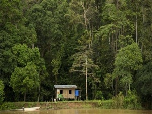 Ormanlar 24 saat gözetim altında