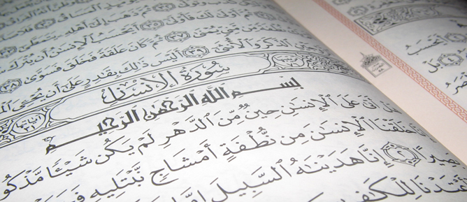 Allah'ın nimetlerini size bol bol verdiğini görmediniz mi?