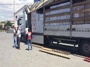 Kızılay'dan Balkanlar'a yardım eli