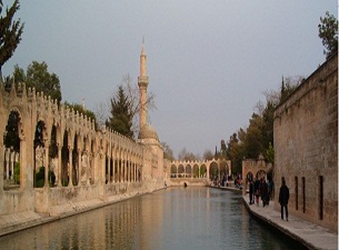 Balıklıgöl'deki balıklar ölüyor