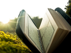 Şübhesiz ki Allah, sinelerde olanı hakkıyla bilendir