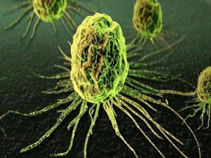 Güçlü bağışıklık sistemi kansere kalkan