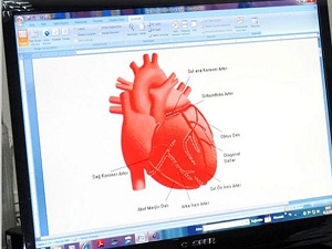 Elektronik kalp pili üretildi