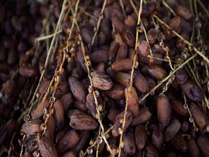 Tunus hurmasına gümrük muafiyeti