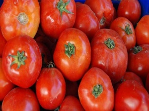 Domatesin kasası 1 lira