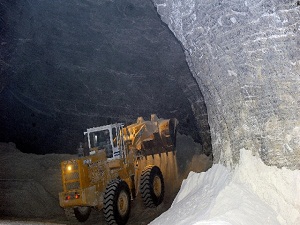 Kaya Tuzu Hastalıkların Tedavisinde Kullanılıyor