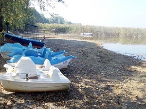 Sapanca Gölü'nü kurtarma planı hazır