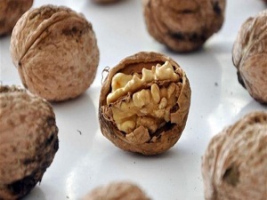 En iyi beyin gıdası