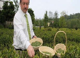 Bu çay Türkiye'de gram ile satılacak