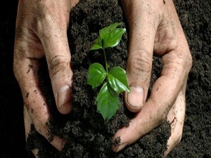 Organik gübre üretim tesisi kuruldu