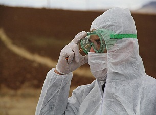 Kahramanmaraş'ta Afrika hastalığı karantinası