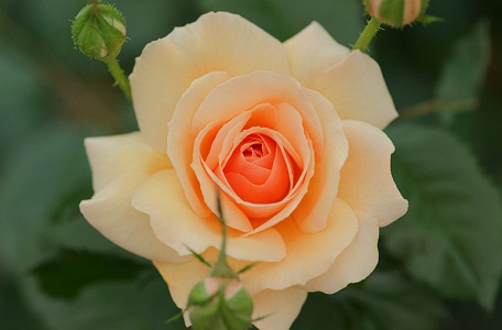 Kul, Allah hakkında ne düşünüyorsa, aynı muameleyi görür