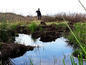 'Türkiye’nin en büyük turba bataklığı korumaya alınmalı'