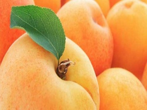 Kayısı fiyatları iki kat birden arttı