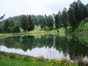 Altınpınar Gölü turizme kazandırılacak