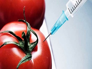 Bakanlık'tan ilginç karar