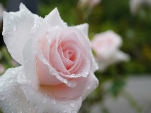 Öğle namazının vakti girdiğinde gök kapıları açılır