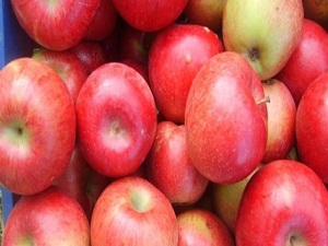 Yaşlanmaya karşı Amasya elması