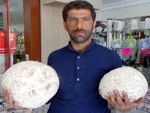 Kilosu 50 liradan mantar