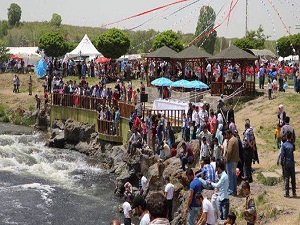 İlk defa inci kefali göçünü izledi!