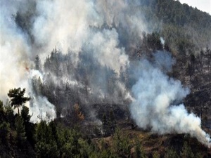 Türkiye ormanlarının yüzde 60’ı yangın tehdidi altında