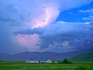 Türkiye'nin iklimi artık yarı tropik