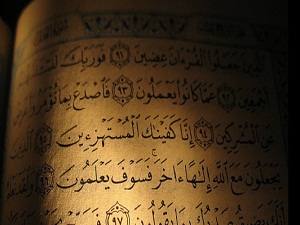 Suyu kurak yere gönderiyoruz, ekini çıkarıyoruz, görmezler mi?