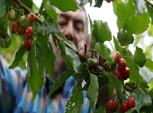 Balık vermediler, tutmasını öğrettiler