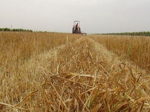 Erzurum'da 5 bin çiftçi organik tarım sertifikası aldı