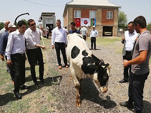 TİKA'dan Azerbaycan çiftçisine destek