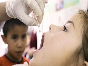 Suriye sınırındaki iller aşılanıyor