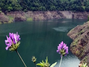 Yuvacık Barajı'nda su seviyesi yükseliyor