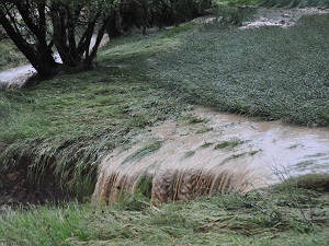 Yozgat’ta dolu yağışı 80 bin dekar tarım alanına zarar verdi