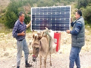 Çobanlardan enerjide seyyar çözüm: Eşektrik
