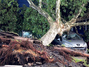 Almanya’yı aşırı sıcaklar sonrası fırtına vurdu