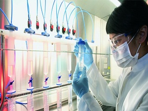 Bulaşıcı hastlaıklar bin 428 ölüme sebep oldu