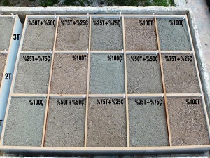 Körfez'in Kumuna ilk Talip Çıktı