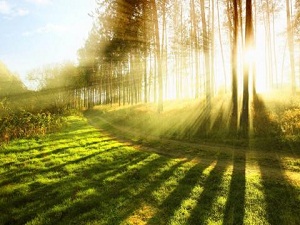 Güneş ışınları psikolojiyi olumlu etkiliyor