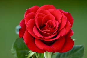 Dünyadaki sıkıntı anları, ahiretteki sıkıntı anlarını yok eder