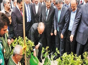 11 bin dönüm yeşille buluştu