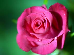 Allah'ın, öldükten sonra mümine ilk mükafatı