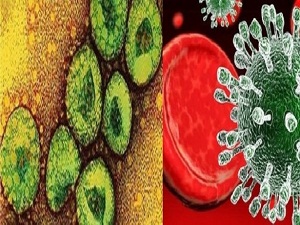 Dünya Sağlık Örgütü hac ziyaretinin iptalini tavsiye etmedi
