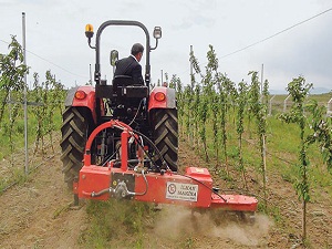 Eker: Tarım ihracatı yüzde 4,5 arttı