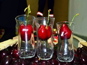 Çay bardağına sığmayan kiraz görenleri şaşırtıyor